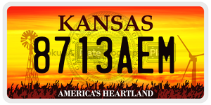 8713AEM  license plate in KS