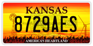 8729AES  license plate in KS