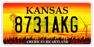 8731AKG  license plate in KS