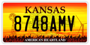 8748AMV  license plate in KS