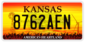 8762AEN  license plate in KS