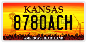 8780ACH  license plate in KS