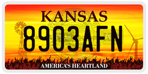 8903AFN  license plate in KS