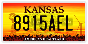 8915AEL  license plate in KS