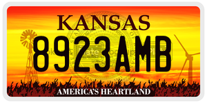8923AMB  license plate in KS