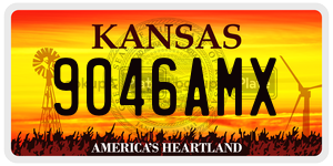 9046AMX  license plate in KS