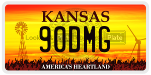 90DMG  license plate in KS