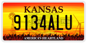 9134ALU  license plate in KS