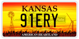 91ERY  license plate in KS