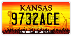 9732ACE  license plate in KS