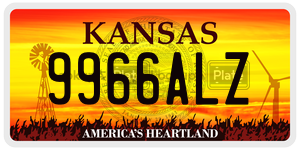 9966ALZ  license plate in KS