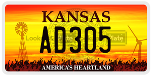 AD305 license plate in Kansas