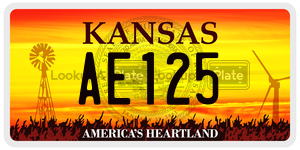 AE125  license plate in KS