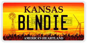 BLNDIE  license plate in KS