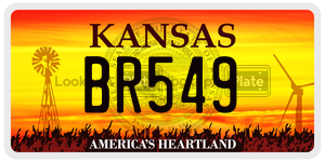 BR549  license plate in KS