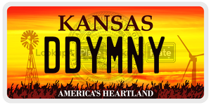 DDYMNY  license plate in KS