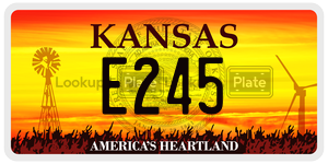 E245  license plate in KS
