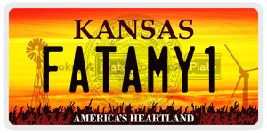 FATAMY1  license plate in KS