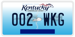 002WKG  license plate in KY