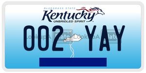 002YAY  license plate in KY