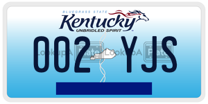 002YJS  license plate in KY