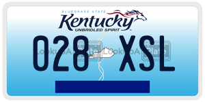 028XSL  license plate in KY