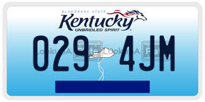 0294JM  license plate in KY