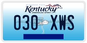 030XWS  license plate in KY