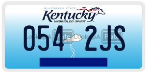 0542JS  license plate in KY