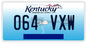 064VXW  license plate in KY