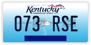 073RSE  license plate in KY