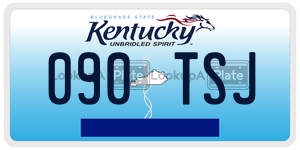 090TSJ  license plate in KY