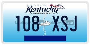 108XSJ  license plate in KY