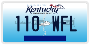 110WFL  license plate in KY