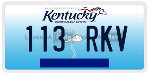 113RKV  license plate in KY