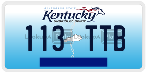 113TTB  license plate in KY