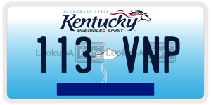 113VNP  license plate in KY