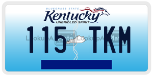 115TKM  license plate in KY