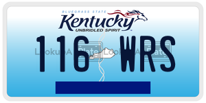 116WRS  license plate in KY