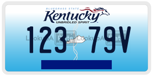 12379V  license plate in KY
