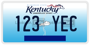123YEC  license plate in KY