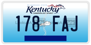 178FAJ  license plate in KY