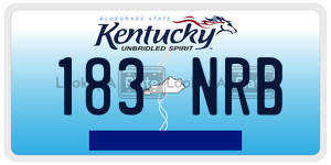 183NRB  license plate in KY