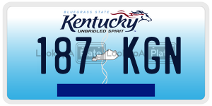 187KGN  license plate in KY