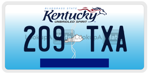 209TXA  license plate in KY