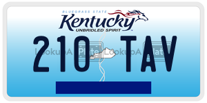 210TAV  license plate in KY