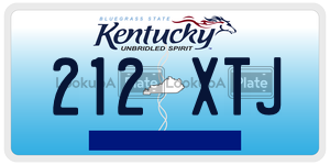 212XTJ  license plate in KY