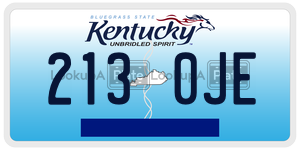2130JE  license plate in KY