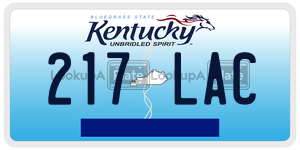 217LAC  license plate in KY
