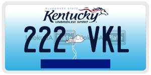 222VKL  license plate in KY
